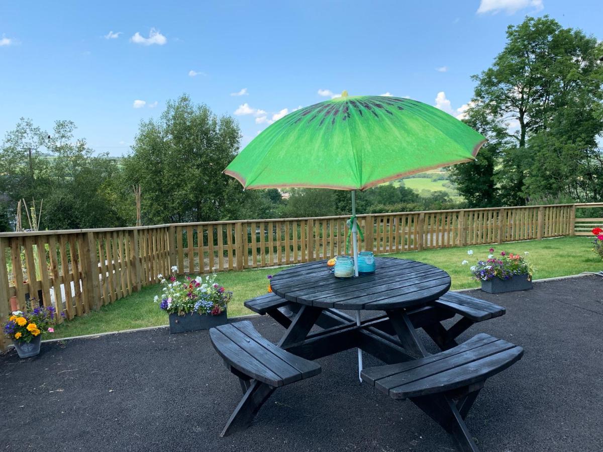 Kabin In The Woods Llandybie Εξωτερικό φωτογραφία