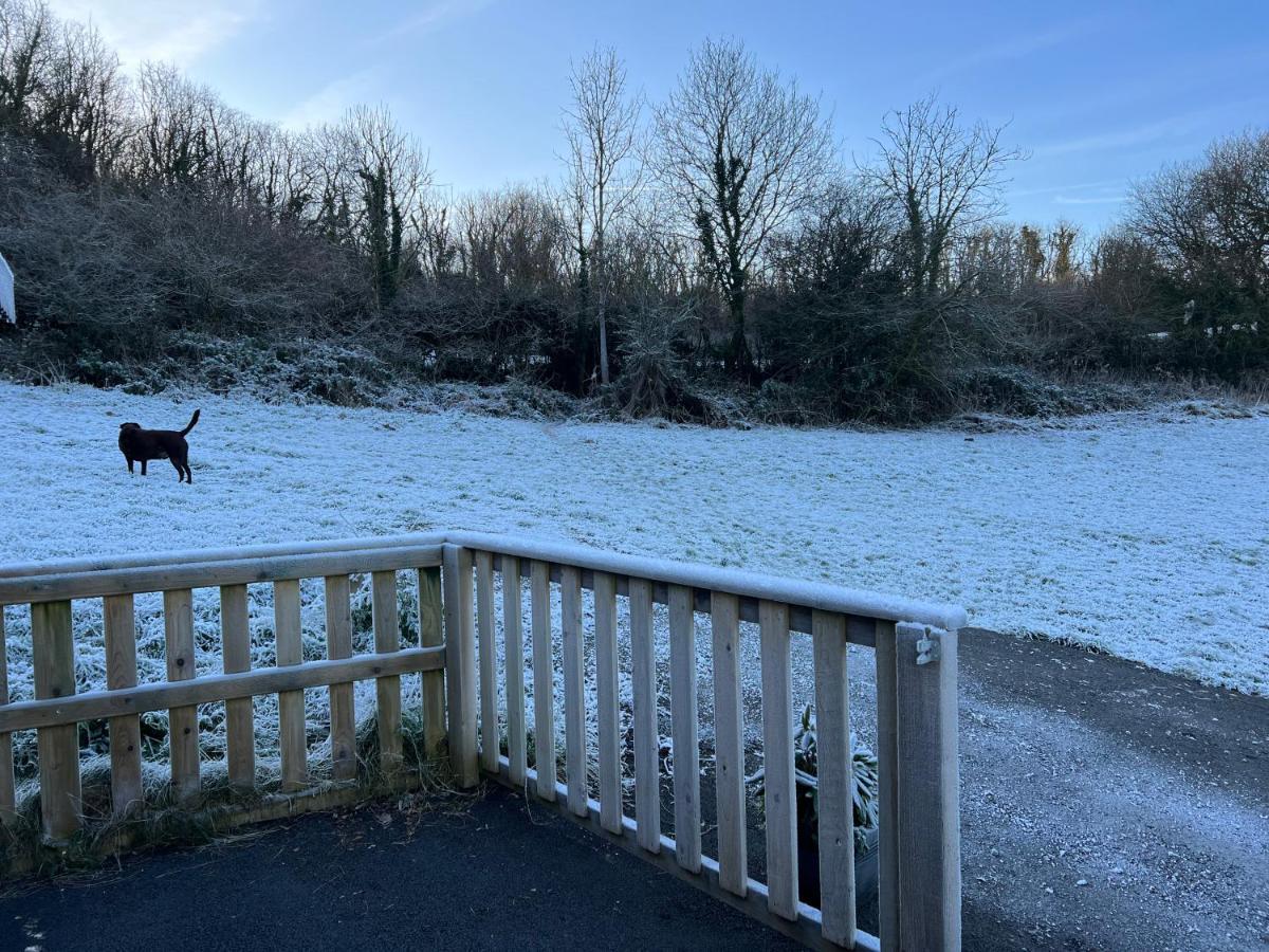Kabin In The Woods Llandybie Εξωτερικό φωτογραφία