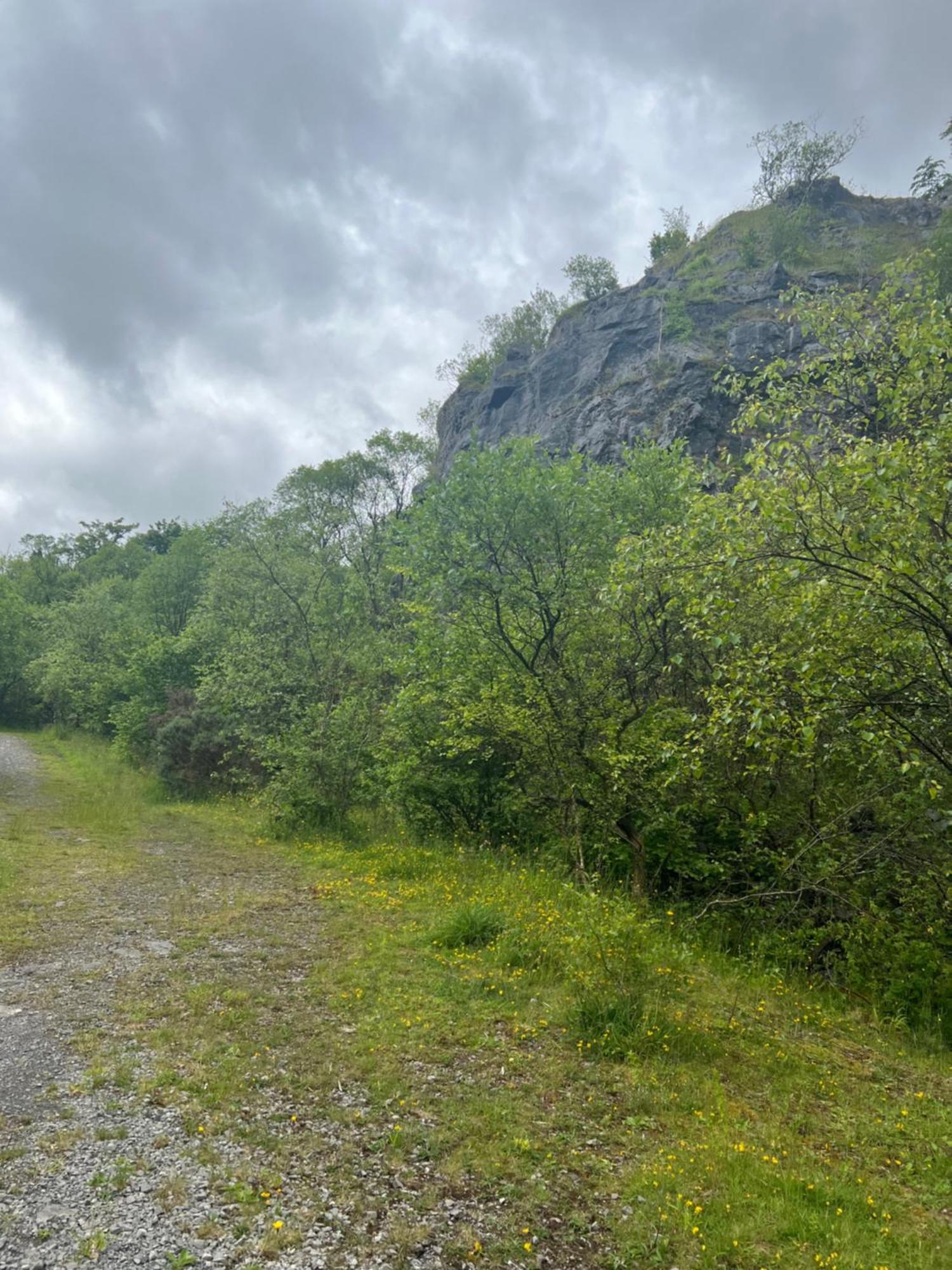 Kabin In The Woods Llandybie Εξωτερικό φωτογραφία