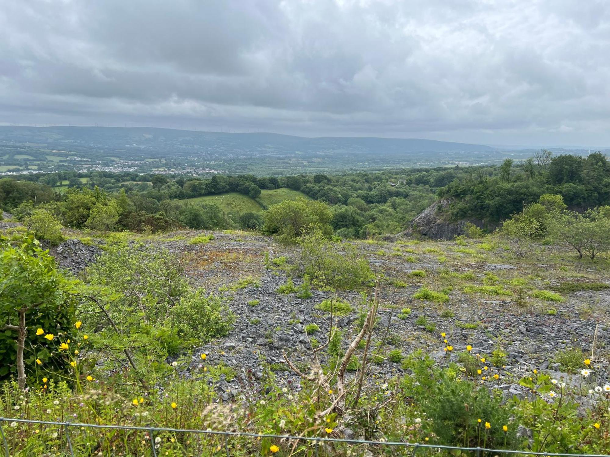 Kabin In The Woods Llandybie Εξωτερικό φωτογραφία