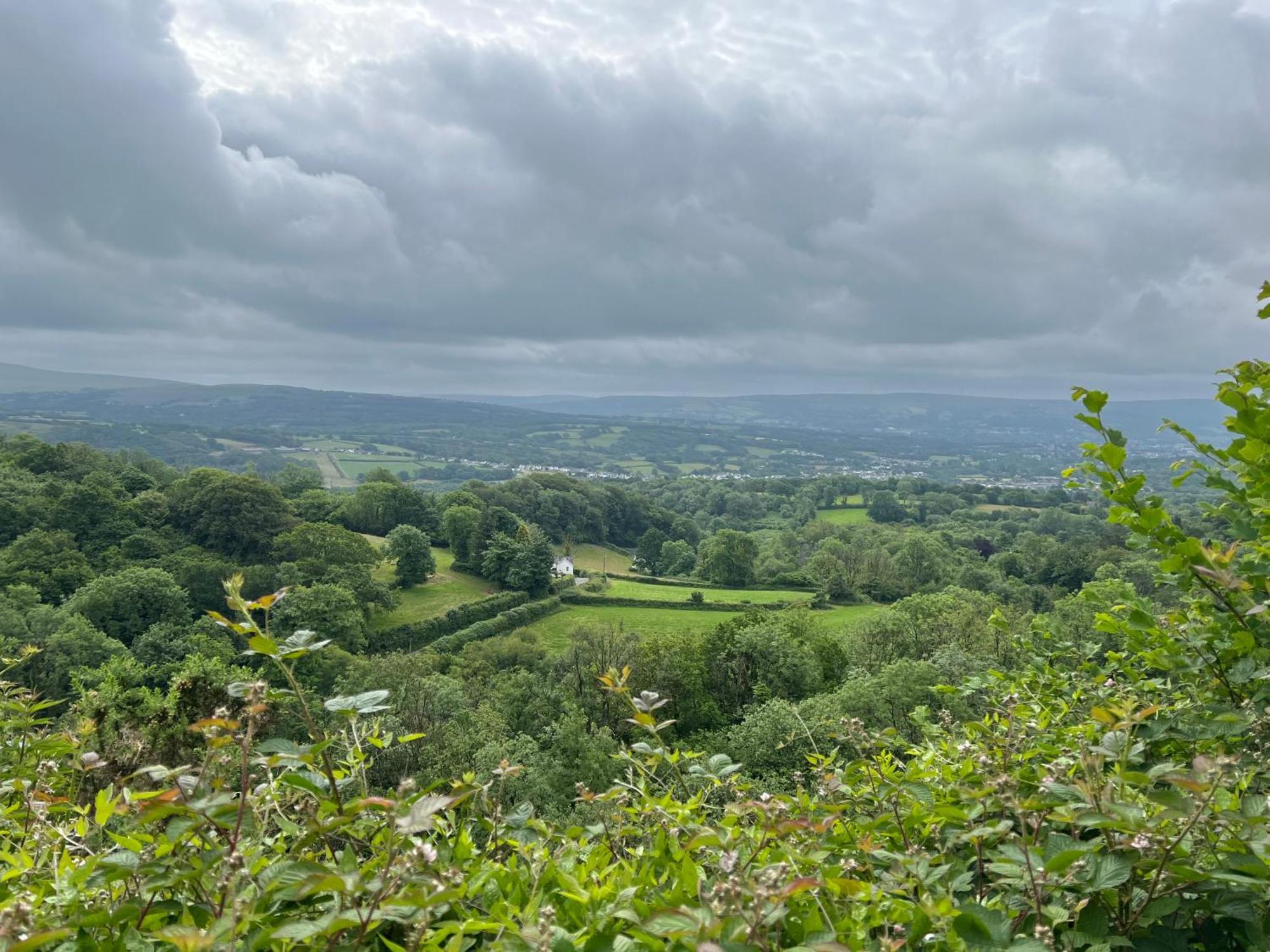 Kabin In The Woods Llandybie Εξωτερικό φωτογραφία